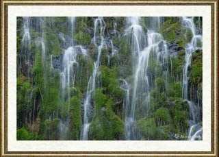 王岩_细流无声 Moss Brae Falls